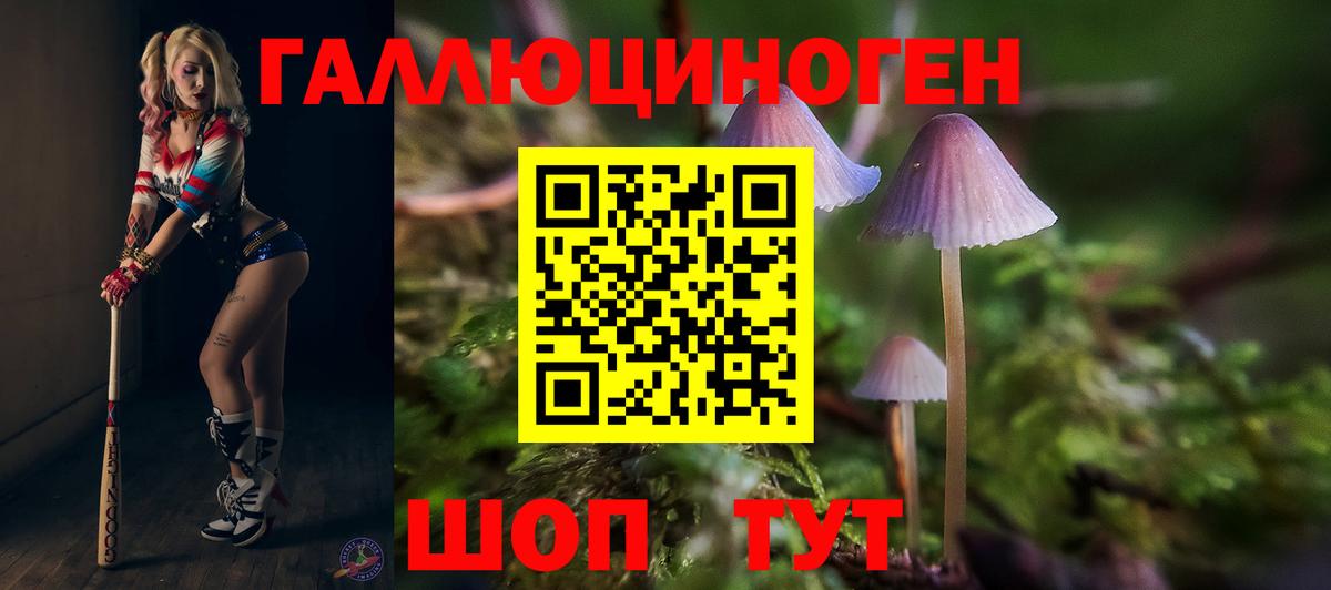 Псилоцибиновые грибы Cubensis  Вход с VPN  Галлюциногенные грибы прущие грибы  Канаш 